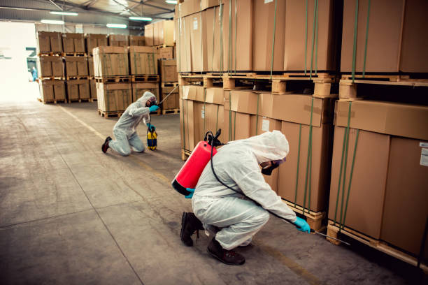 Best Insect Control  in Decordova, TX
