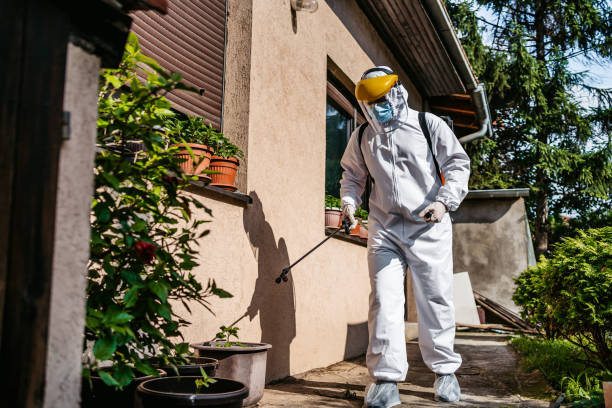 Best Cockroach Control Services  in Decordova, TX