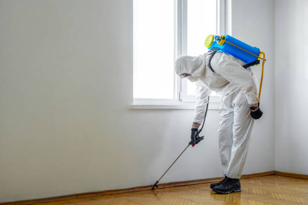 Best Local Pest Control Services  in Decordova, TX