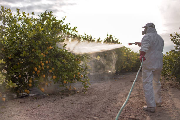 Best Exterminator Services  in Decordova, TX