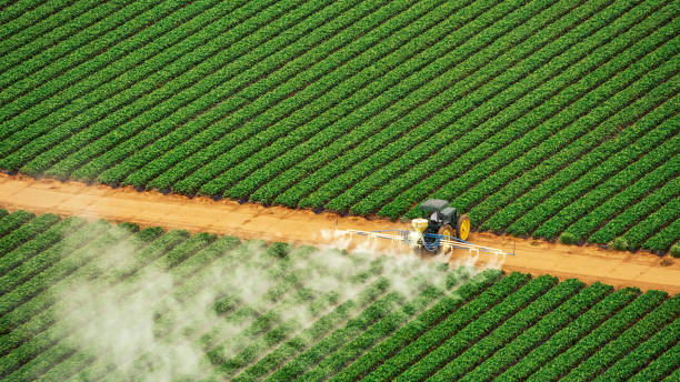 Decordova, TX Pest Control Company