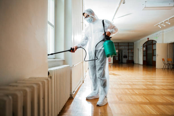 Best Rat Extermination Near Me  in Decordova, TX